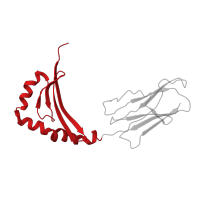 The deposited structure of PDB entry 1lo5 contains 1 copy of SCOP domain 54453 (MHC antigen-recognition domain) in HLA class II histocompatibility antigen, DRB1 beta chain. Showing 1 copy in chain B.
