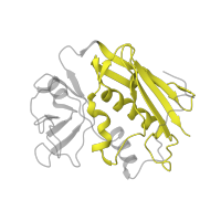 The deposited structure of PDB entry 1lo5 contains 1 copy of SCOP domain 54335 (Superantigen toxins, C-terminal domain) in Enterotoxin type A. Showing 1 copy in chain D.