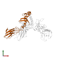 HLA class II histocompatibility antigen, DRB1 beta chain in PDB entry 1lo5, assembly 1, front view.