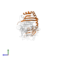 HLA class II histocompatibility antigen, DRB1 beta chain in PDB entry 1lo5, assembly 1, side view.
