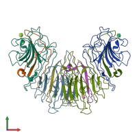 PDB entry 1loa coloured by chain, front view.