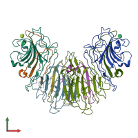 PDB entry 1lob coloured by chain, front view.