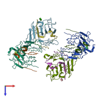 PDB entry 1lob coloured by chain, top view.