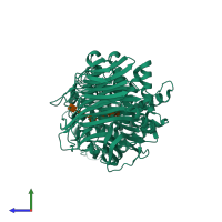 PDB entry 1loh coloured by chain, side view.