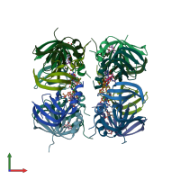 PDB entry 1loj coloured by chain, front view.