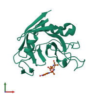 PDB entry 1lop coloured by chain, front view.