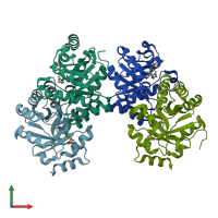PDB entry 1los coloured by chain, front view.
