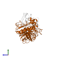 Pancreatic triacylglycerol lipase in PDB entry 1lpb, assembly 1, side view.