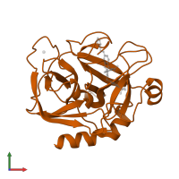 Activated factor Xa heavy chain in PDB entry 1lpg, assembly 2, front view.