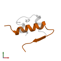 Insulin B chain in PDB entry 1lph, assembly 2, front view.