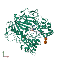 PDB entry 1lpp coloured by chain, front view.