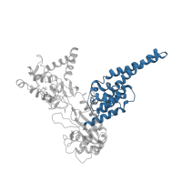 The deposited structure of PDB entry 1lpq contains 1 copy of CATH domain 1.10.132.10 (Topoisomerase I; Chain A, domain 4) in DNA topoisomerase 1. Showing 1 copy in chain C [auth A].