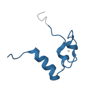 The deposited structure of PDB entry 1lpv contains 1 copy of Pfam domain PF00751 (DM DNA binding domain) in Protein doublesex. Showing 1 copy in chain A.