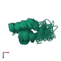 PDB entry 1lqc coloured by chain, ensemble of 32 models, top view.