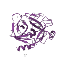 The deposited structure of PDB entry 1lqe contains 1 copy of SCOP domain 50514 (Eukaryotic proteases) in Serine protease 1. Showing 1 copy in chain A.