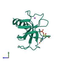 PDB entry 1lra coloured by chain, side view.
