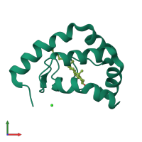 PDB entry 1lri coloured by chain, front view.