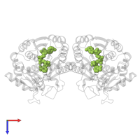 NICOTINAMIDE-ADENINE-DINUCLEOTIDE in PDB entry 1lrl, assembly 1, top view.