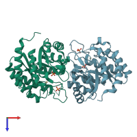 PDB entry 1lrn coloured by chain, top view.