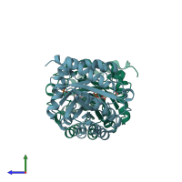 PDB entry 1lro coloured by chain, side view.
