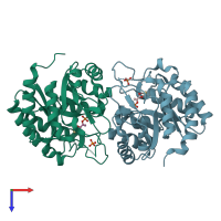 PDB entry 1lro coloured by chain, top view.
