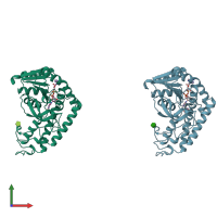 PDB entry 1lth coloured by chain, front view.