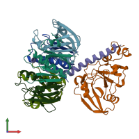 PDB entry 1lts coloured by chain, front view.