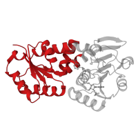 The deposited structure of PDB entry 1lua contains 3 copies of CATH domain 3.40.50.10280 (Rossmann fold) in Bifunctional protein MdtA. Showing 1 copy in chain A.