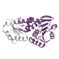 The deposited structure of PDB entry 1lua contains 3 copies of SCOP domain 51883 (Aminoacid dehydrogenase-like, C-terminal domain) in Bifunctional protein MdtA. Showing 1 copy in chain A.