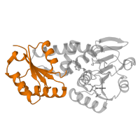 The deposited structure of PDB entry 1lua contains 3 copies of SCOP domain 82333 (Methylene-tetrahydromethanopterin dehydrogenase) in Bifunctional protein MdtA. Showing 1 copy in chain A.