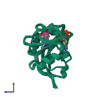 PDB entry 1lud coloured by chain, ensemble of 24 models, side view.