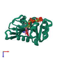 PDB entry 1lud coloured by chain, ensemble of 24 models, top view.