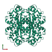 Homo tetrameric assembly 1 of PDB entry 1luv coloured by chemically distinct molecules, front view.