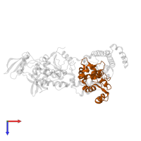 Calmodulin-1 in PDB entry 1lvc, assembly 1, top view.