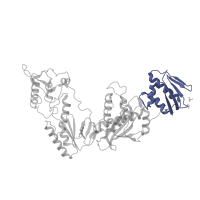 The deposited structure of PDB entry 1lw2 contains 1 copy of SCOP domain 53099 (Ribonuclease H) in Reverse transcriptase/ribonuclease H. Showing 1 copy in chain A.