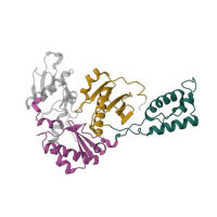 The deposited structure of PDB entry 1lw2 contains 3 copies of CATH domain 3.30.70.270 (Alpha-Beta Plaits) in p51 RT. Showing 3 copies in chain B.
