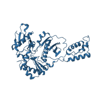 The deposited structure of PDB entry 1lw2 contains 1 copy of SCOP domain 56686 (Reverse transcriptase) in p51 RT. Showing 1 copy in chain B.