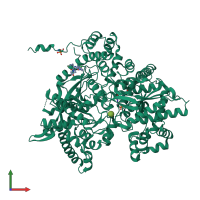 PDB entry 1lwo coloured by chain, front view.