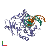 PDB 1lwv coloured by chain and viewed from the front.