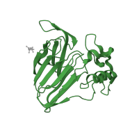 The deposited structure of PDB entry 1lxz contains 1 copy of SCOP domain 49871 (Osmotin, thaumatin-like protein) in Thaumatin I. Showing 1 copy in chain A.