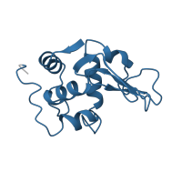 The deposited structure of PDB entry 1lz1 contains 1 copy of Pfam domain PF00062 (C-type lysozyme/alpha-lactalbumin family) in Lysozyme C. Showing 1 copy in chain A.