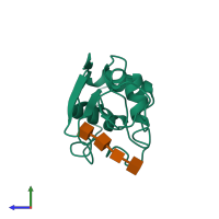 PDB entry 1lze coloured by chain, side view.