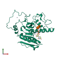 PDB entry 1lzi coloured by chain, front view.
