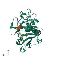 PDB entry 1lzi coloured by chain, side view.