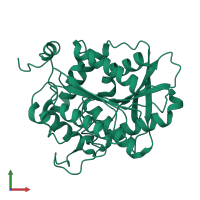 Alpha/beta hydrolase fold-3 domain-containing protein in PDB entry 1lzl, assembly 1, front view.