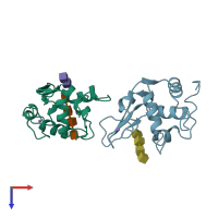 PDB entry 1lzs coloured by chain, top view.