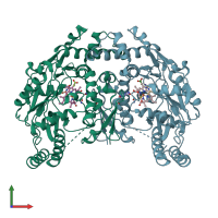PDB entry 1lzz coloured by chain, front view.
