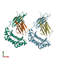 PDB entry 1m05 coloured by chain, front view.