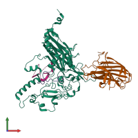 PDB entry 1m06 coloured by chain, front view.