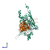 PDB entry 1m06 coloured by chain, side view.